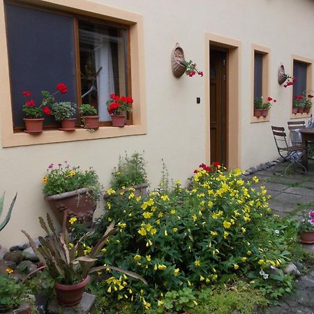 Casa Lia Hotel Sighisoara Bagian luar foto