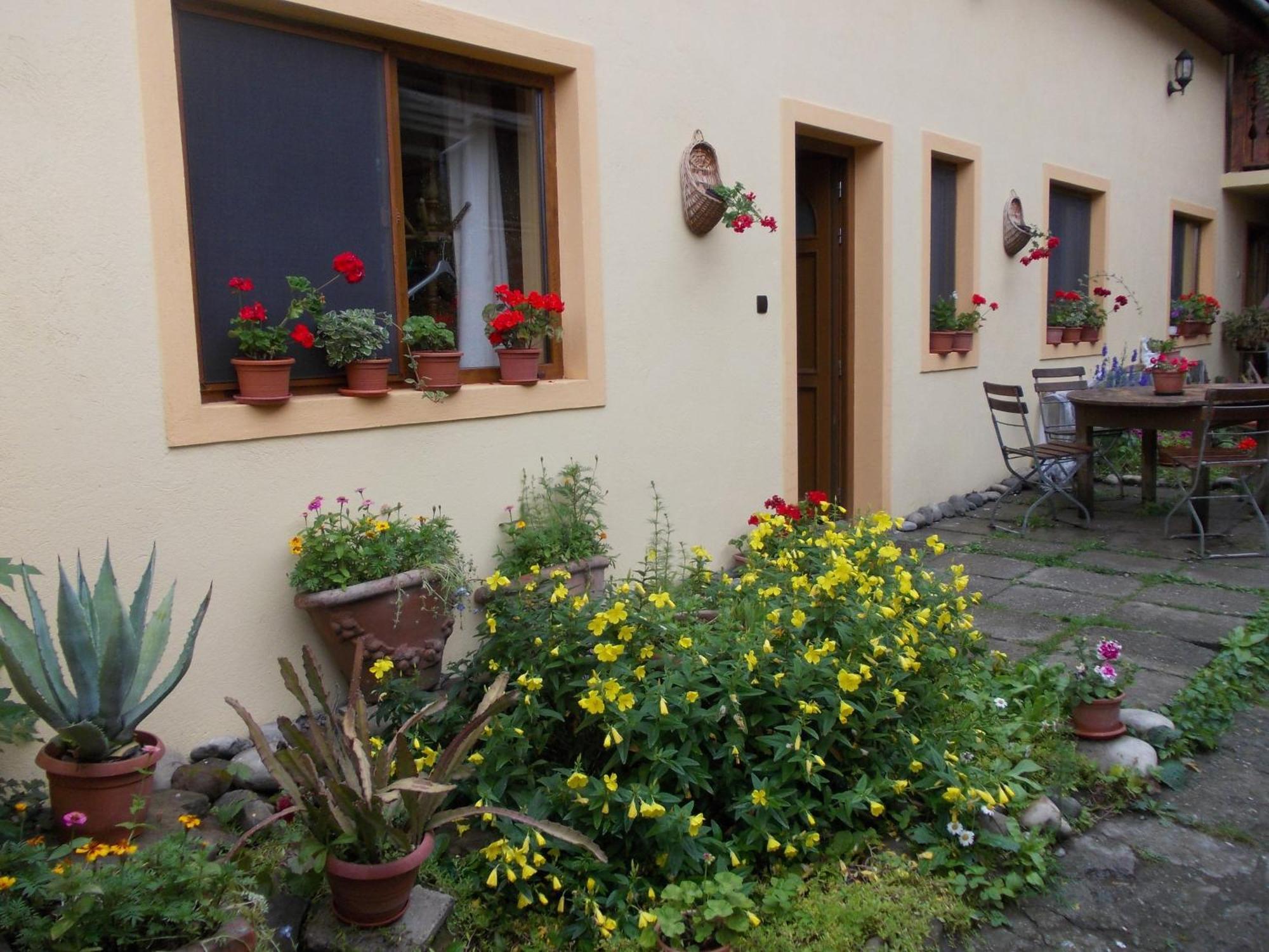 Casa Lia Hotel Sighisoara Bagian luar foto